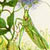 Folk Tales