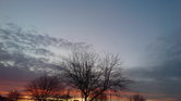 Random view