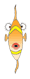 Fish Academy