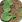 Ants