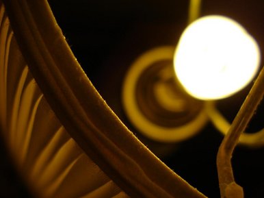 Light