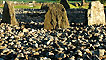 Stone Circle