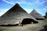 Castell Henllys