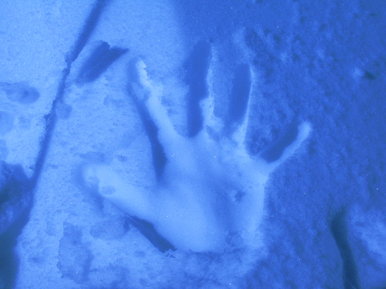 Frozen
