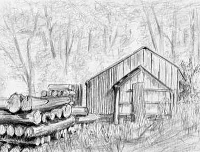 Saw mill Tollymore Forest 1963