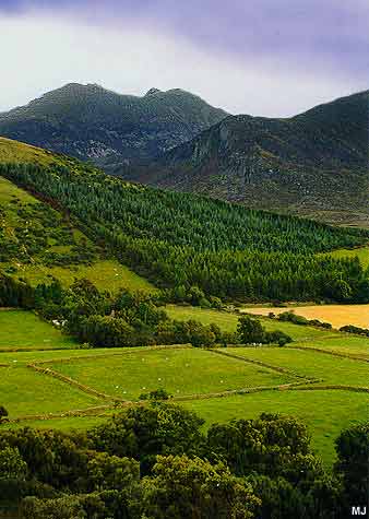 Summer view in the Trassey Valley