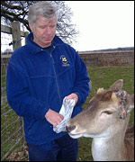 Deer warden feeding a deer