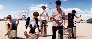 Foals