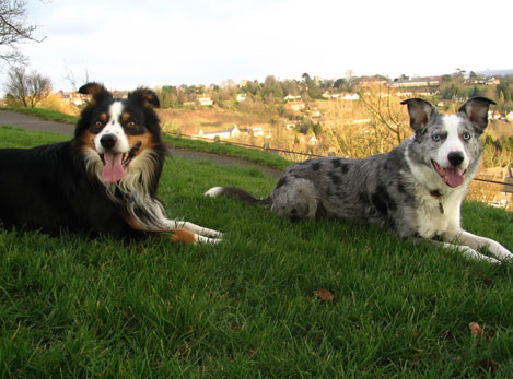 Harvey and Reg
