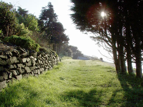 Portwrinkle