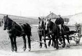 Image of a waggon with horses