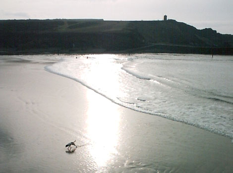 Summerleaze beach