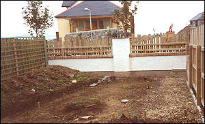 View from the back of the house