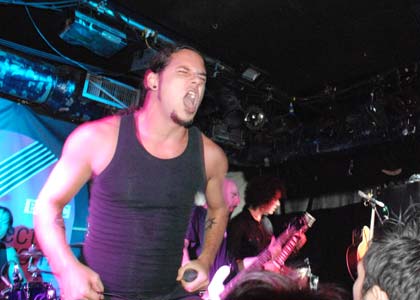 Breed 77