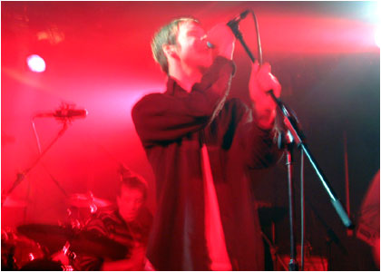 doves