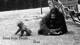 Dont fear death... Dont fear death...