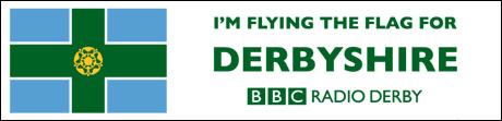 Flag car sticker