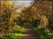 Fens Pools