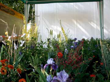 New Hall Garden at Chelsea Flower Show