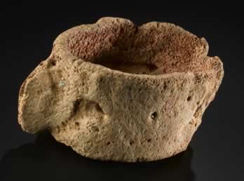 A bone pot