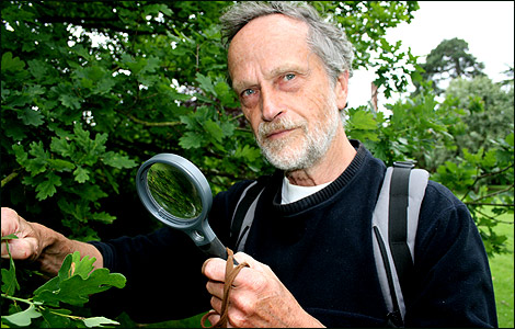 Martin Woolmer