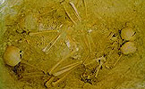 Burial site during an excavation