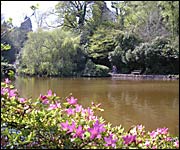 The lakes