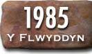 Blwyddyn