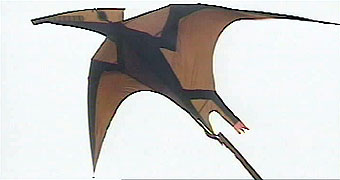 pterodactyl.