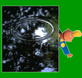 Jake peaking at raindrops falling into stream