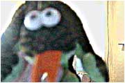 I'm not very good with technology, I feel like a fish out of water