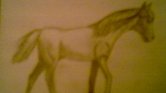 A horse A horse
