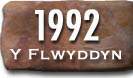Blwyddyn
