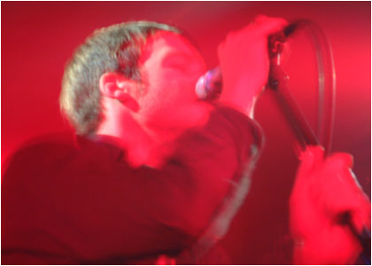 doves