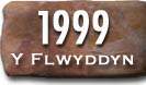 Blwyddyn