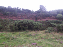 Park Hall Country Park
