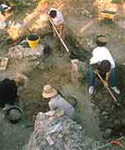 Image of a dig