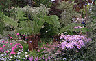 The Hillier display