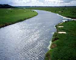 The Merderet River had been flooded by the Germans and as the troops came down many landed in the water and were drowned, weighed down by their heavy equiment