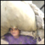 ماشومان او درانده کارونه