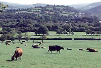 Visiting Wales