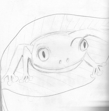 Frog