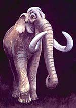 artist's impression.