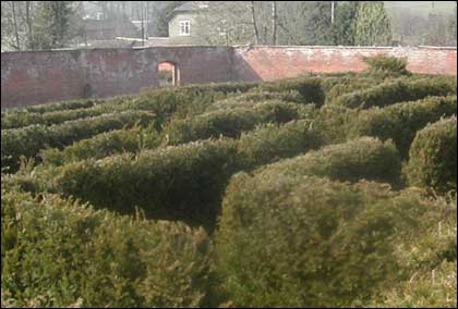 Maze picture
