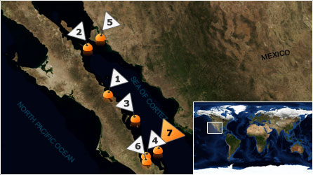 Dive map - Sea of Cortez - Site 7