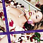 Review of Tissues and Issues