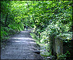Old Town Rail Path