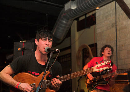 Foals