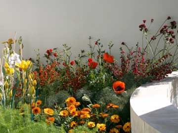 New Hall Garden at Chelsea Flower Show