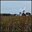 Wicken Fen
